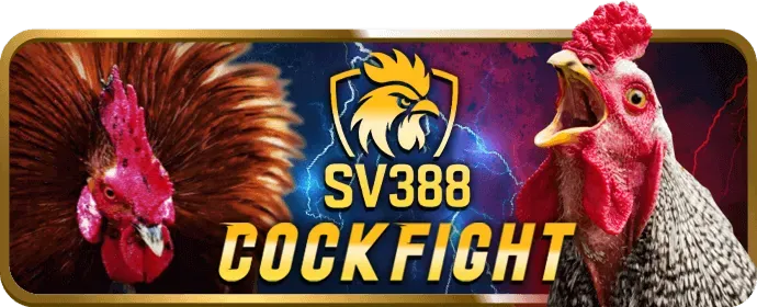Chương trình VIP NC88 Đăng Nhập